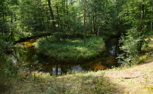 50. Grūda.jpg